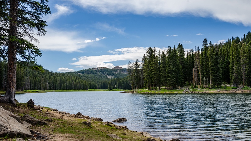 Crooked River State Park